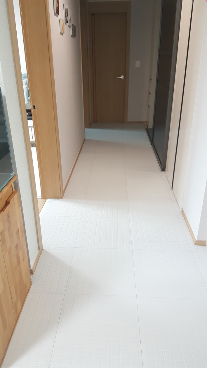 20190621_164158.jpg